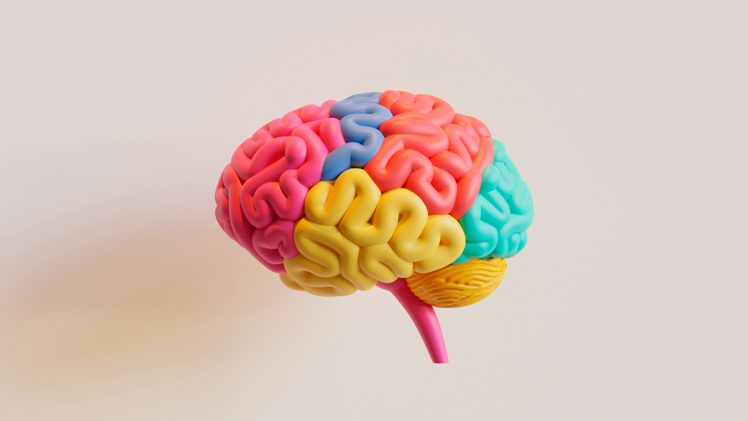 Les images du cerveau bientôt convoquées à l'audience