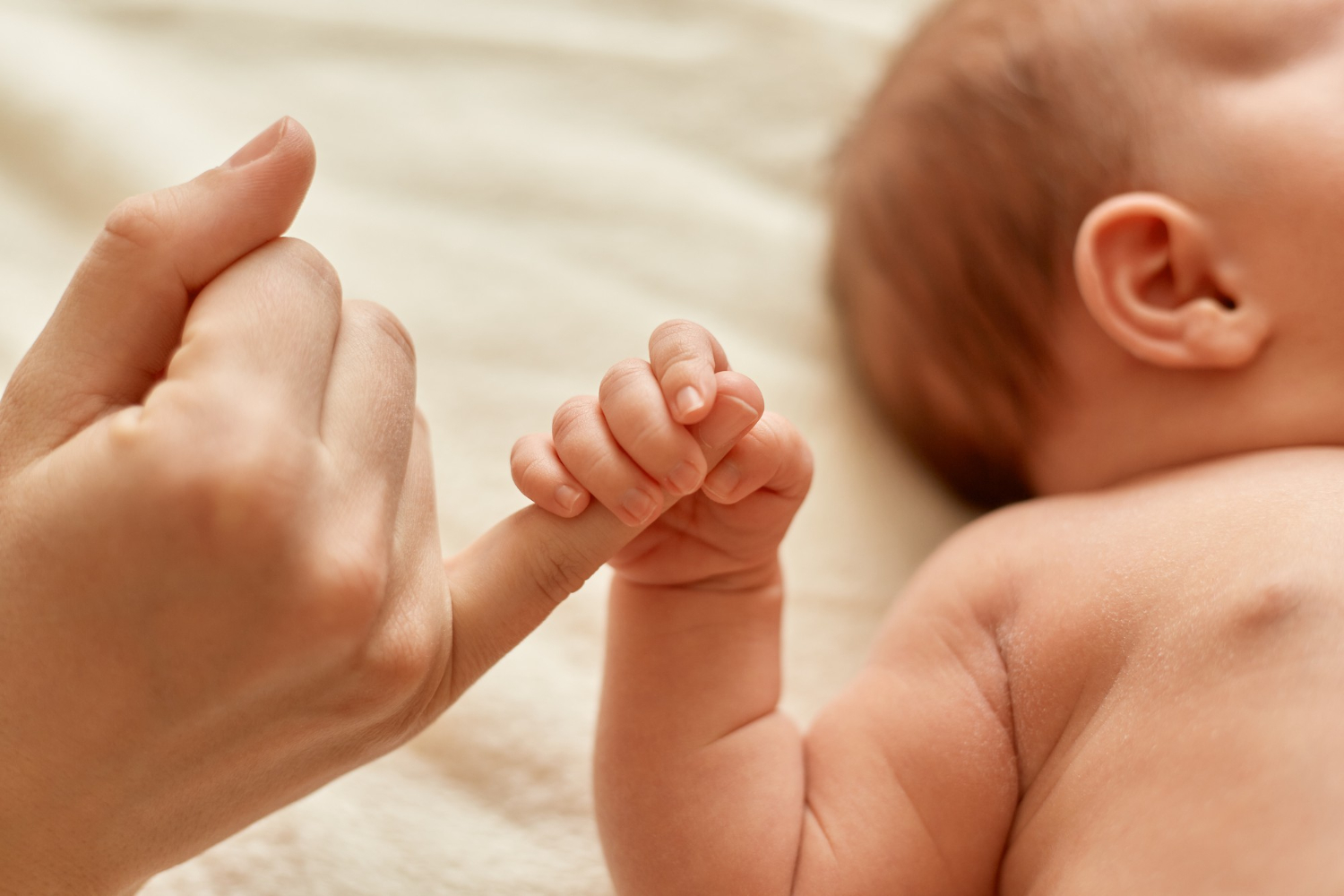 Accès aux origines : « Les droits de l'enfant ont été trop longtemps ignorés »